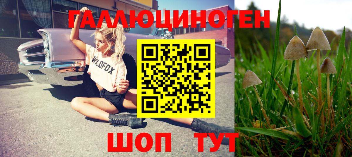 Чебоксары  Псилоцибиновые грибы MAGIC MUSHROOMS  Галлюциногенные грибы Cubensis  Вход с VPN 