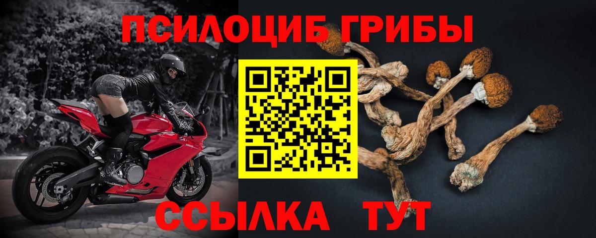 Галлюциногенные грибы Cubensis Чебоксары